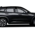GEELY_STARRAY_BLACK