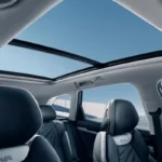 GEELY_STARRAY_TECHO_PANORAMICO-600x400