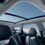 STARRAY_ROOF