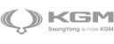 Brand=KGM, State=Default